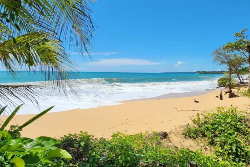 hotel-for-sale-on-bluff-beach-isla-colon2